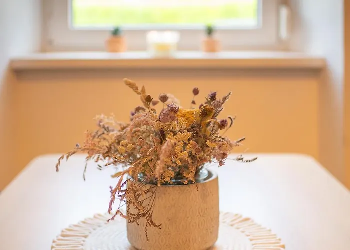 Bonaire Daire Kranjska Gora